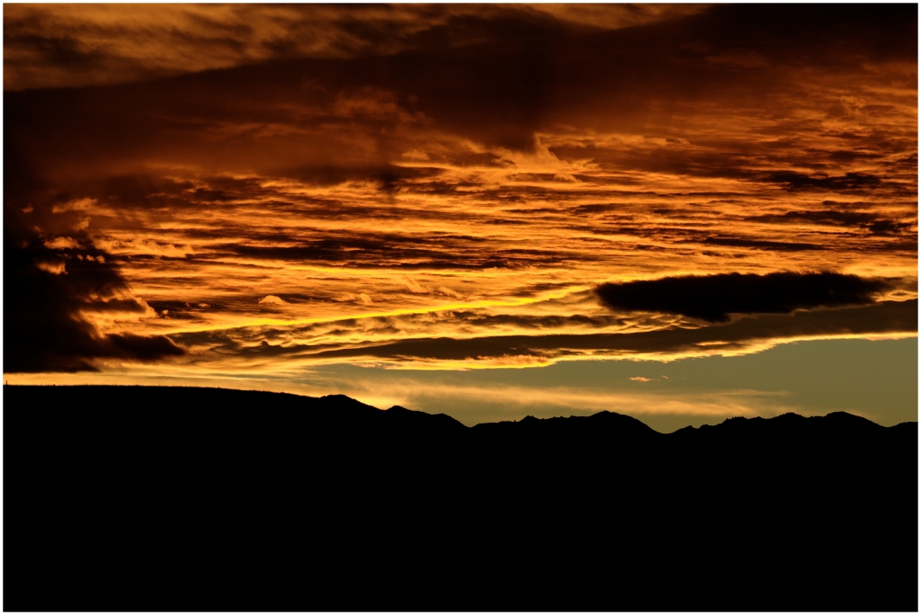 14 - Kaikoura (53).jpg